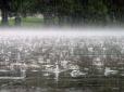 Чи відступлять дощі: Синоптикиня  розповіла, якою буде погода 18 квітня в Україні