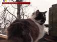 Хіти тижня. 