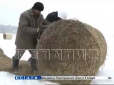 Хіти тижня. 