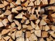 Не робіть помилок! Названо дрова, які краще не брати для опалення каміна чи печі