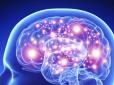 Це може здивувати! ТОП-5 продуктів, які погіршують роботу мозку