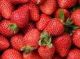Бережіться! В Україні знайшли отруйну полуницю - зафіксовано надмірні дози нітратів