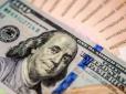 Чи є альтернативи? У НБУ пояснили, що буде з доларом у найближче десятиліття