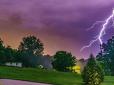 Під ними ховатися не варто! Які дерева притягують блискавки