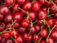 Не дайте себе обдурити: Як легко розпізнати черешні з черв’яками та уникнути неприємних сюрпризів