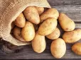 Звичайна картопля може стати зброєю проти деменції: Вчені зробили приголомшливе відкриття