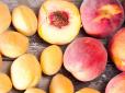 Абрикоси чи персики - який фрукт справді корисніший? Відповідь вас здивує!