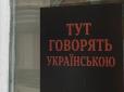 Кожен відвідувач має виказати повну повагу державній мові: Київське кафе, де обслуговують лише україномовних клієнтів, викликало справжній бум (відео)
