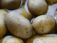 Забудьте про втрати! Цей простий трюк допоможе зберегти картоплю на довго