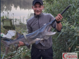 На Житомирщині чоловік зловив величезну і моторошну на вигляд 