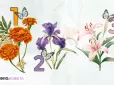 Виберіть квіти для свого саду - і дізнайтесь, що приховано у вашій душі