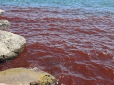 Біблійне пророцтво збувається? Галілейське море стало червоним і жахнуло туристів