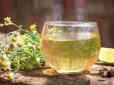 А ви це знали? Чи можна пити чай з ромашки щодня