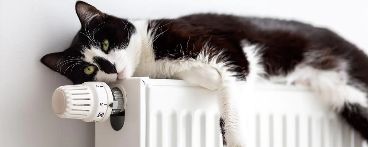 Є проблеми: Коли в Україні нарешті почнеться опалювальний сезон