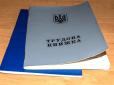 Варто знати всім! До якого терміну необхідно встигнути оцифрувати трудову книжку і куди подінуть паперовий документ