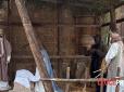 Прикинувся пастухом: В Італії розшукуваного чоловіка знайшли.... у різдвяному вертепі