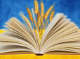 В Україні хочуть серйозно збільшити штрафи за порушення закону про мову: Що відомо