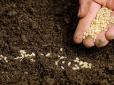 Дачникам на замітку!  Чому не сходить насіння - помилки