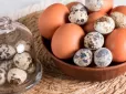 Перепелині чи курячі яйця: Ось яка різниця та що корисніше