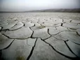 Біологи опублікували нове дослідження щодо змін природного середовища Землі на 2100 рік