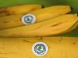 Наліпка із жабою на продуктах: Що вона насправді означає і чому її не варто боятися