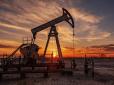 Почали вивозити нафту з Арктики: Росія запустила масштабний проєкт