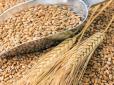 Новий удар по світовій економіці - сільгосппродукція дорожчає рекордними темпами