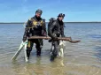 Донині це вважалося неможливим: В озері на Півночі Німеччини виявили артефакт, що змушує переосмислити історію Європи 10 000 років тому